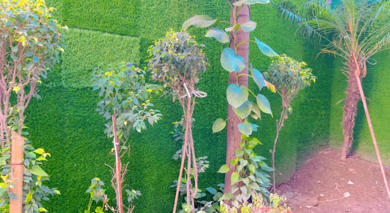 City View With Garden -5 Mins Walk From Golden Temple アムリトサル エクステリア 写真